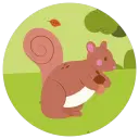 bosco-3