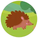 bosco-5